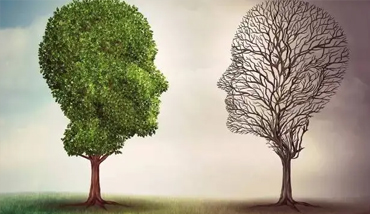 心理咨询首次访谈需要谈哪些内容？